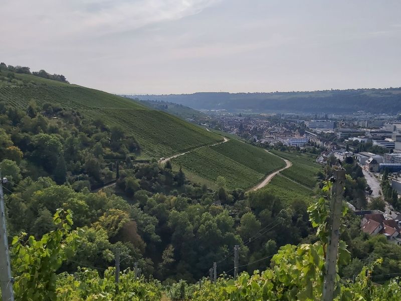 Genusswanderung durch das Remstal